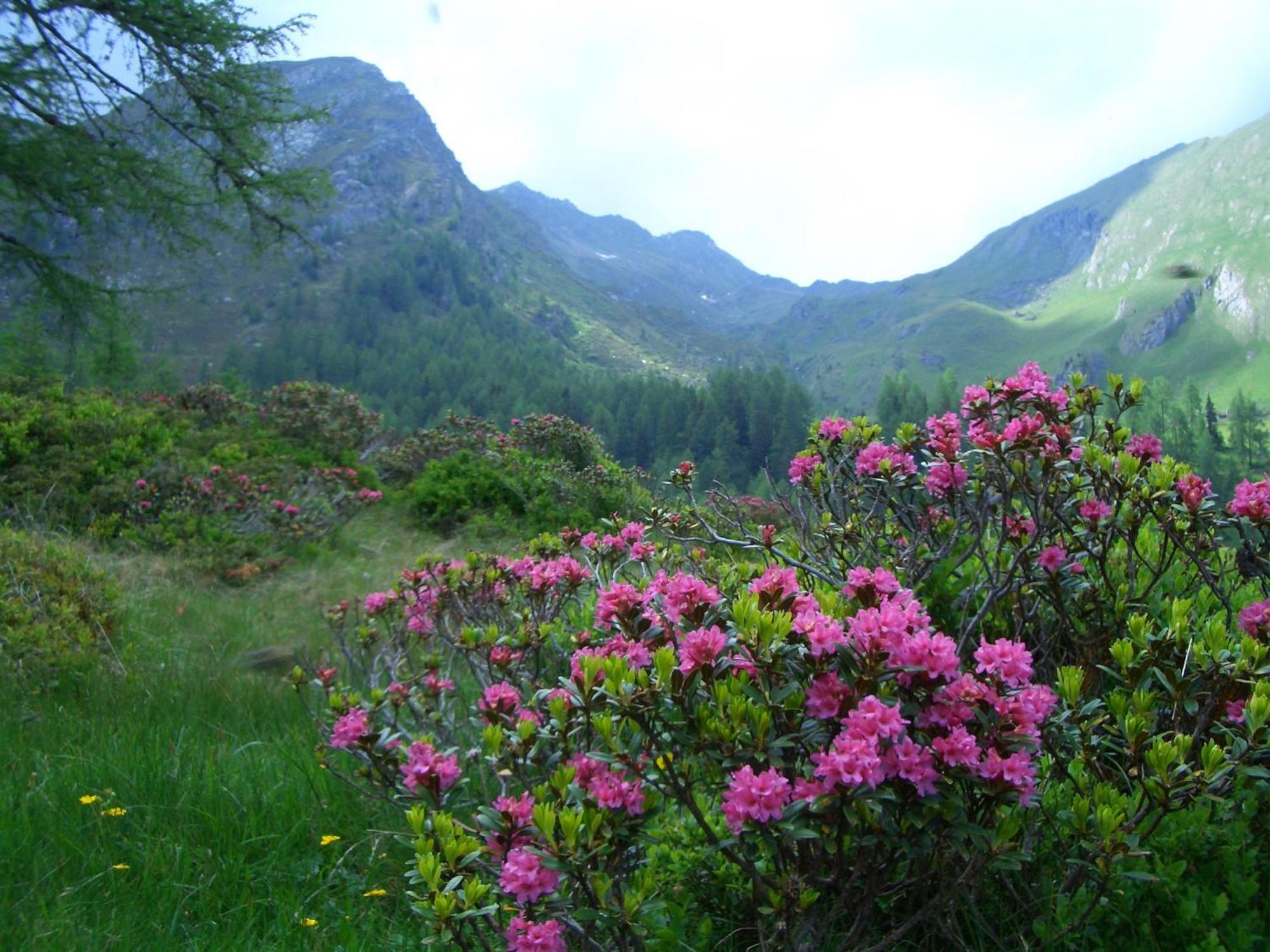 Appartementhaus Flattach Goritschnig Esterno foto